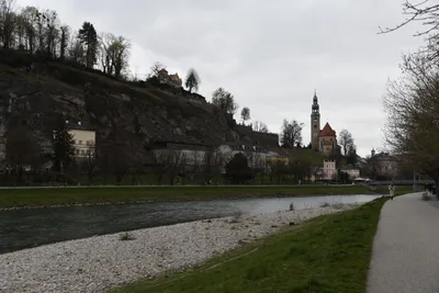 DSC_6998 (Large).JPG